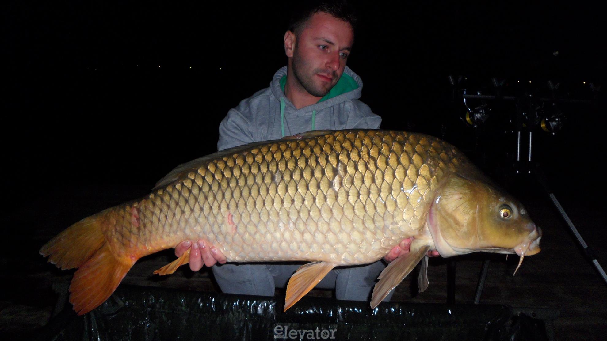 Pleasa1 18 - 20 august 2014 - sam0169.JPG